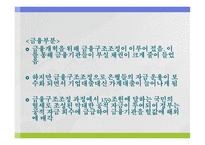 IMF 경제위기 - 원인과 과정 -13
