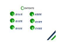 교보생명 회사소개, 보험 종류, 인사방침 -2