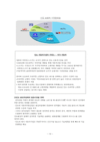 인도의 경제환경과 한국기업의 진출전략 -10