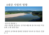 4대강 살리기사업과 죽이기사업 -8
