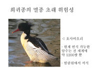 4대강 살리기사업과 죽이기사업 -9