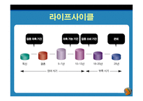 재무설계의 개념 및 필요성, 과정, 정의 -13