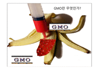 GMO란 무엇인가 - 유전공학기술 -1