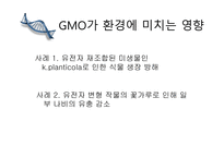 GMO란 무엇인가 - 유전공학기술 -9