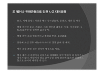 동식물 안전 - 안전교육 -11