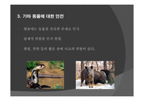 동식물 안전 - 안전교육 -12