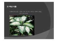 동식물 안전 - 안전교육 -17