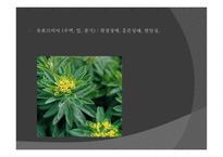 동식물 안전 - 안전교육 -18