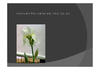 동식물 안전 - 안전교육 -20