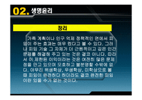 현대사회와 교회 생명윤리 - 생명윤리 -18