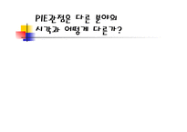 PIE관점은다른분야의 시각과 어떻게 다른가 -1
