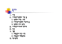 PIE관점은다른분야의 시각과 어떻게 다른가 -2