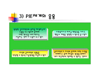 PIE관점은다른분야의 시각과 어떻게 다른가 -11