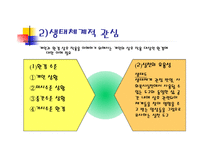 PIE관점은다른분야의 시각과 어떻게 다른가 -19