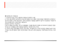 청소년 활동의 유형 -14