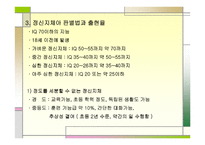 정신지체아동의 이해와 지도 -11