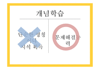 개념학습 - 개념과 학습 -19
