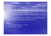 유아교육 - 세계의 아침인사 -3
