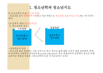 청소년지도방법론 - 청소년지도의 내용 -4