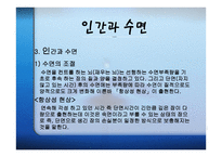 수면과 갱의 - 수면의 개관 -6