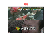 재난대비안전 - 재난이란, 개념 및 필요성 -12