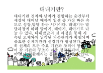 태내기 - 태내기란, 태내기 발달단계, 태내의 성장 과정, 태내기 발달특징 -3