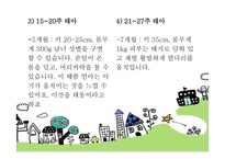 태내기 - 태내기란, 태내기 발달단계, 태내의 성장 과정, 태내기 발달특징 -10