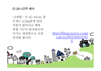 태내기 - 태내기란, 태내기 발달단계, 태내의 성장 과정, 태내기 발달특징 -11