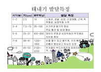 태내기 - 태내기란, 태내기 발달단계, 태내의 성장 과정, 태내기 발달특징 -12