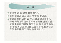 꿀벌의 생활 - 여왕벌 -8