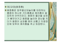 양주별 산대놀이 - 중요무형문화재 -9