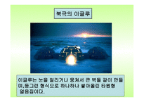 유아교육자료 - 세계 여러나라의 집 -4