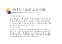 생태유아교육 - 생태유아교육의 의미, 생태유아교육과 유아생태교육의 구분 -12