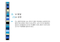 유아기 발달 - 1 신체발달 2 운동발달 3 Piaget의 전 조작기 -4