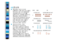 유아기 발달 - 1 신체발달 2 운동발달 3 Piaget의 전 조작기 -12
