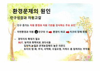 환경위기와 환경문제 - 원인 -4