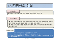 시각장애 - 정의와 원인 -2