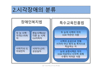 시각장애 - 정의와 원인 -3