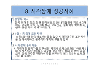 시각장애 - 정의와 원인 -13