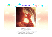 아동발달 - 태내발달 - 생명의 시작, 태내 발달 단계 -15