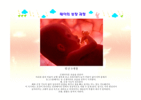 아동발달 - 태내발달 - 생명의 시작, 태내 발달 단계 -20