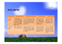 유아기의 발달 -  1  신체적 발달 2  운동발달 3  인지발달 -13