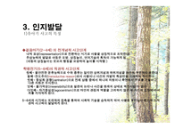 유아기의 발달 -  1  신체적 발달 2  운동발달 3  인지발달 -16