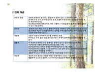 유아기의 발달 -  1  신체적 발달 2  운동발달 3  인지발달 -17