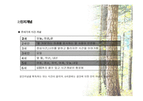 유아기의 발달 -  1  신체적 발달 2  운동발달 3  인지발달 -19