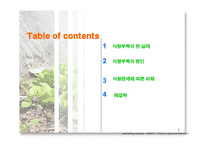 식량문제 - 식량부족의 현 실태 -2