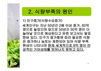 식량문제 - 식량부족의 현 실태 -4