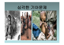 식량문제 - 식량부족의 현 실태 -5