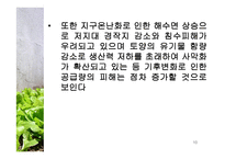 식량문제 - 식량부족의 현 실태 -10