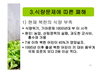 식량문제 - 식량부족의 현 실태 -13